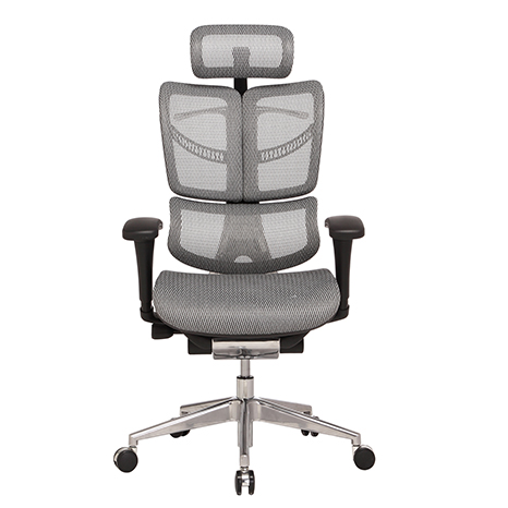 龙康 人体工学椅 FYS-M01